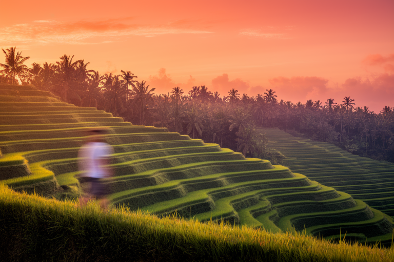 Bali : Quand Partir Pour La Meilleure Période ?